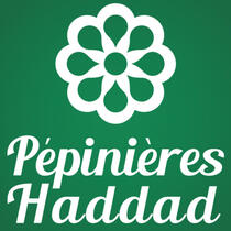 Pepinieres Haddad
